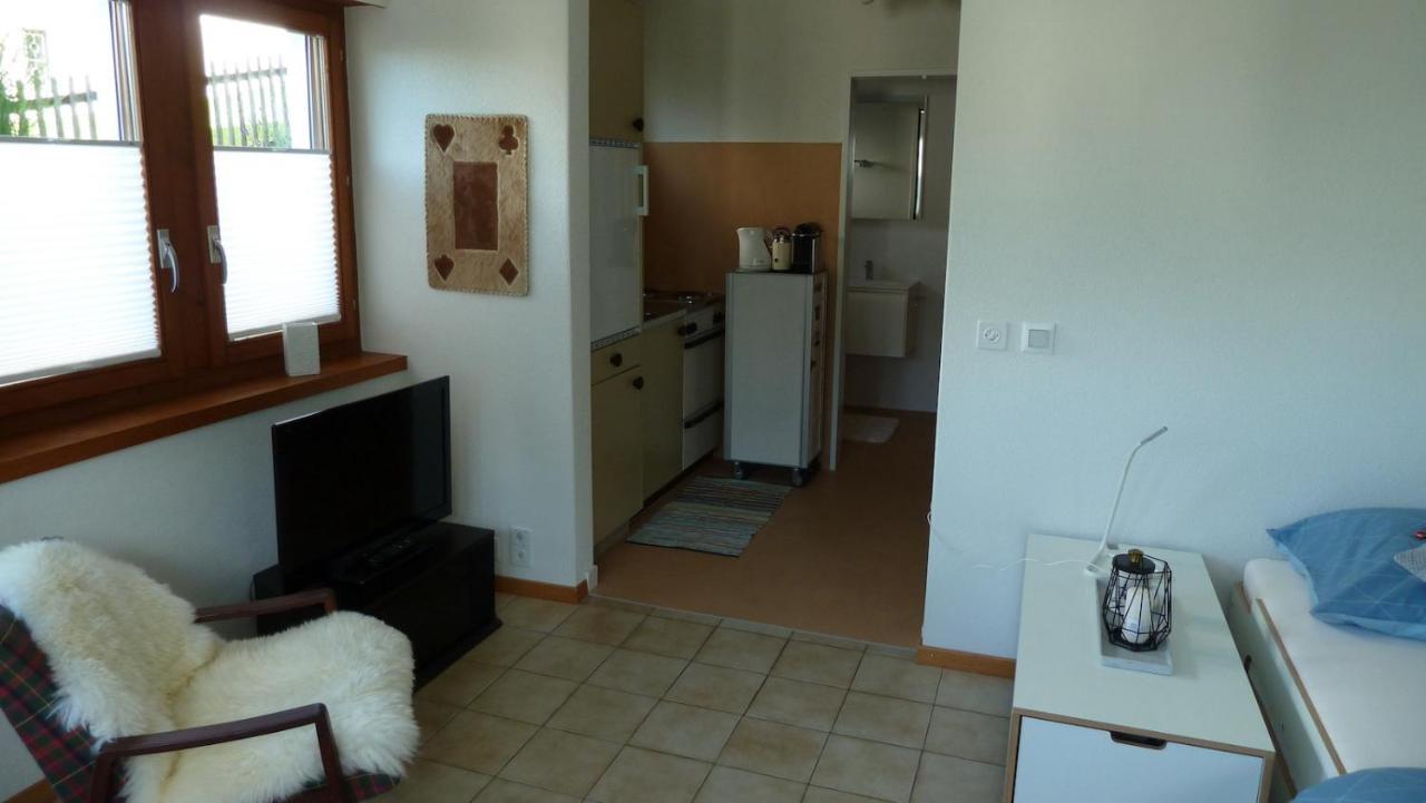 Holzji Apartment Glis Exterior foto